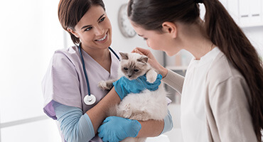 High School + Veterinary Assisting