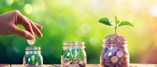 A hand placing a coin into one of three  jars of coins with leaves sprouting in each.