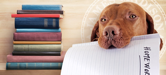 Taking High School Courses Online? Avoid These Homework Excuses!
